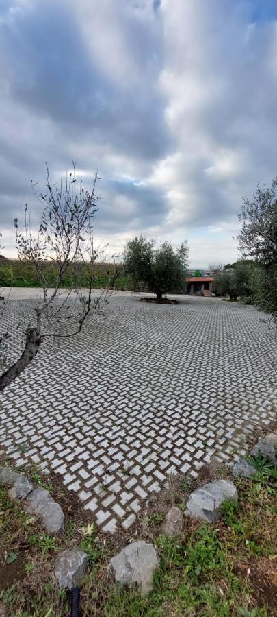 Merumalia Wine Resort Frascati Buitenkant foto