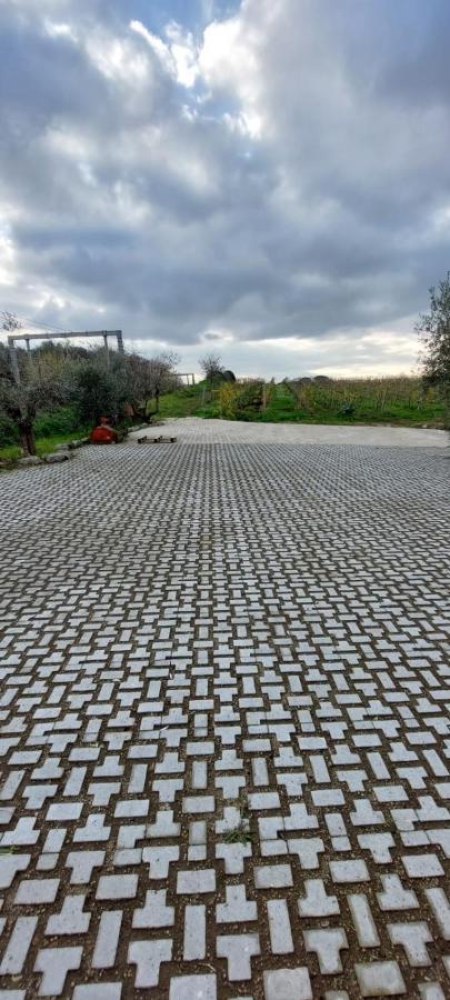 Merumalia Wine Resort Frascati Buitenkant foto