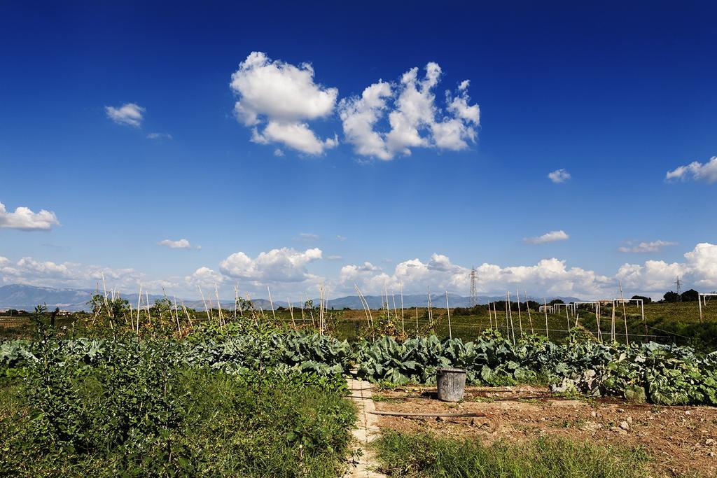 Merumalia Wine Resort Frascati Buitenkant foto