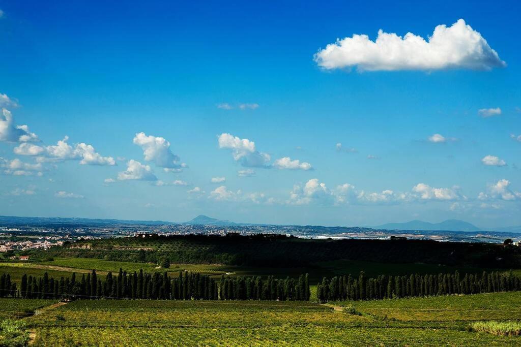 Merumalia Wine Resort Frascati Buitenkant foto
