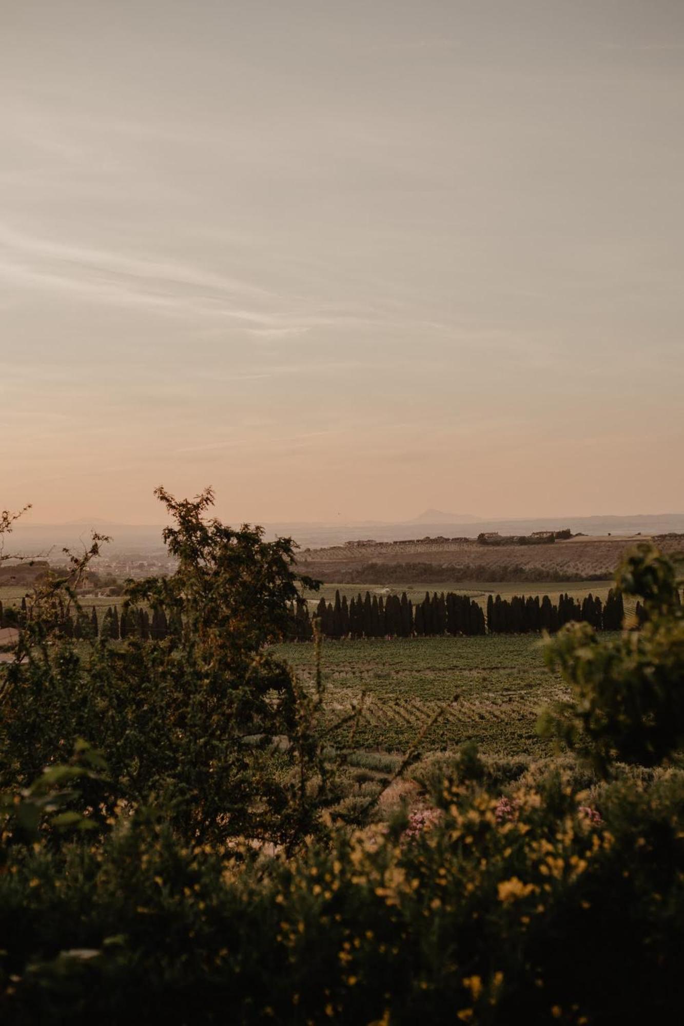 Merumalia Wine Resort Frascati Buitenkant foto