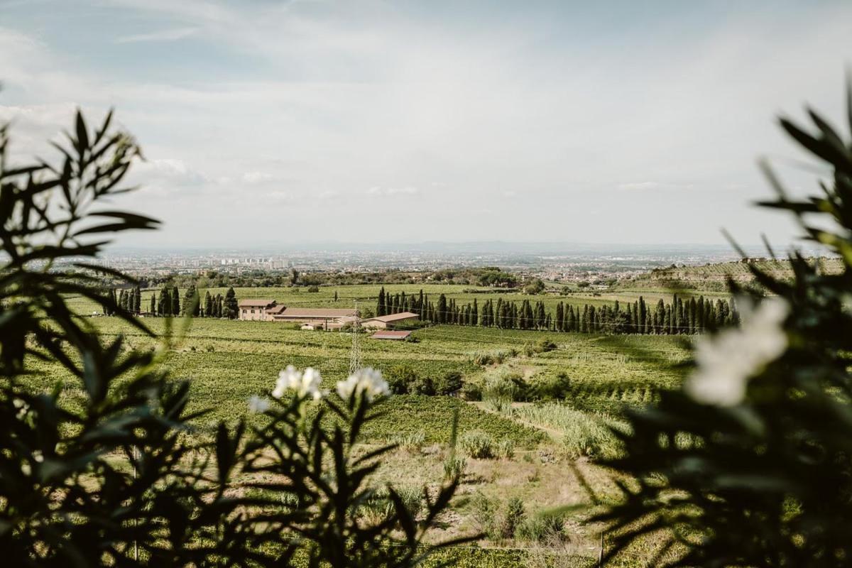 Merumalia Wine Resort Frascati Buitenkant foto