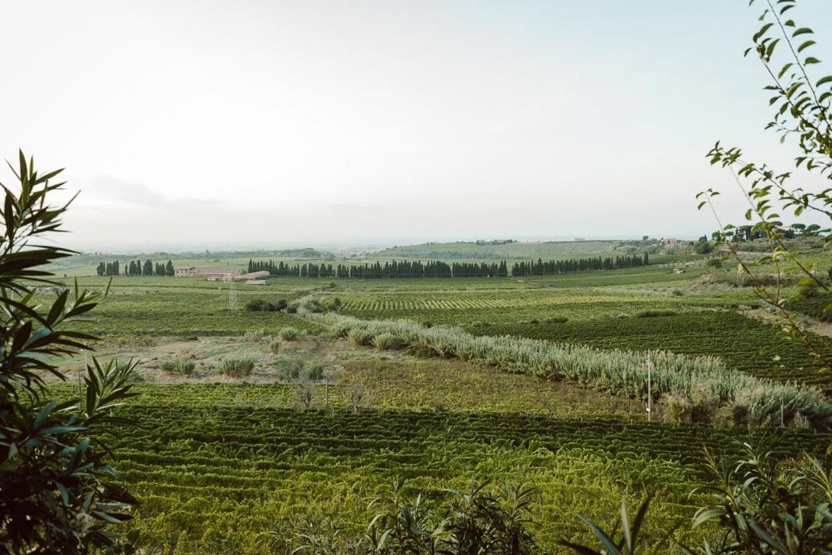Merumalia Wine Resort Frascati Buitenkant foto