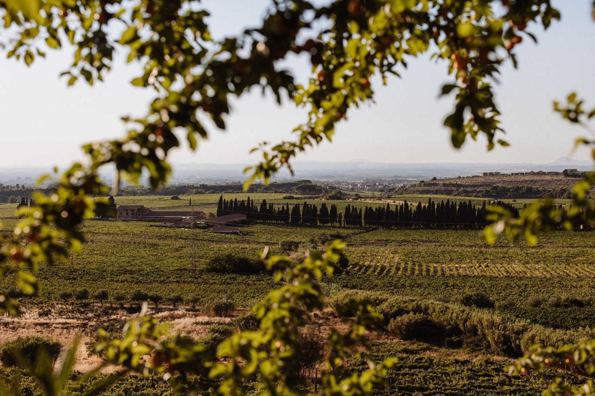 Merumalia Wine Resort Frascati Buitenkant foto